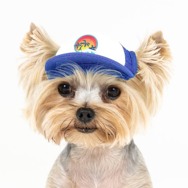 PupLid - Wholesale Pet Hat - Dog - Surfer Dog Standard or Namedrop | Trucker Hat for Dogs13