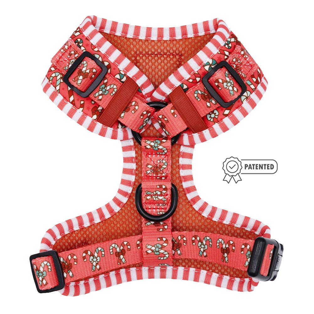 SASSY WOOF - Wholesale Pet Harness - Dog - Dog Adjustable Harness - Puppermint Twist1