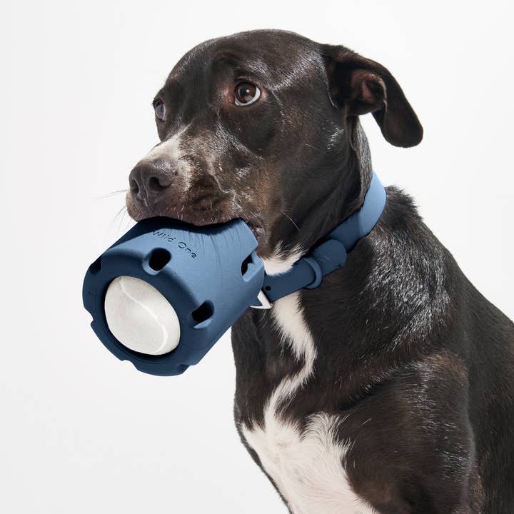 Wild One - Wholesale Pet Toy - Dog - Tennis Tumble Interactive Dog Toy