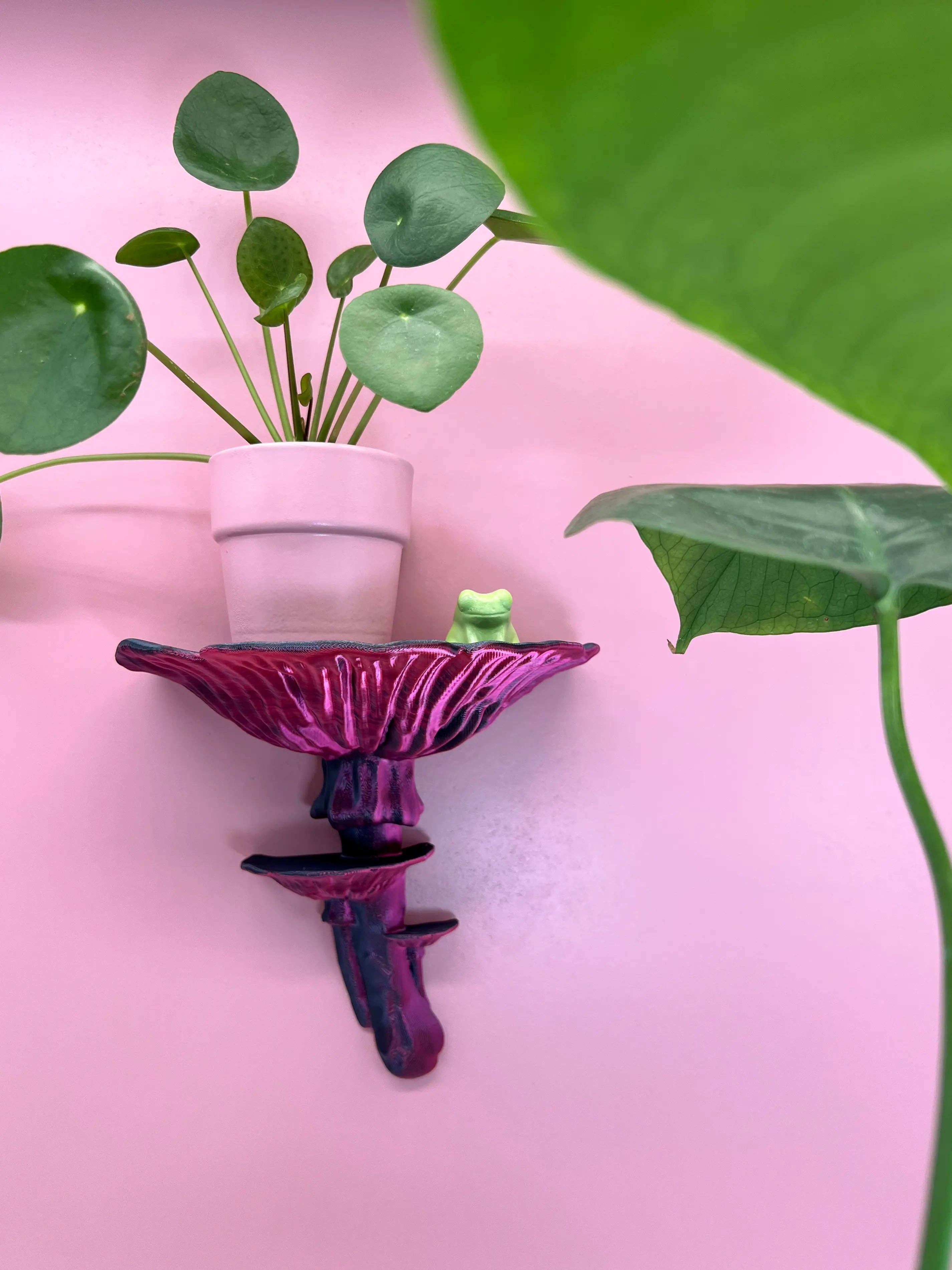 Roomberry - Wholesale Wall Mounted Shelf - Amanita Mushroom Wall Shelf – Floating Shelf for Stylish Decor11