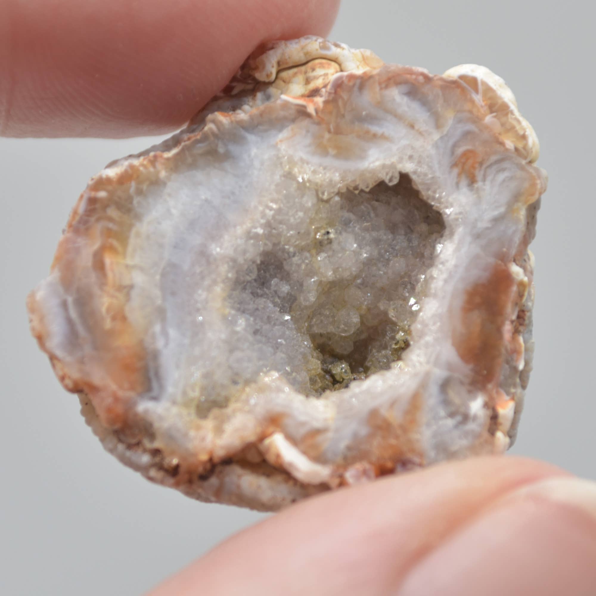 Calder Crystals - Wholesale Spiritual Stone/Crystal - Mini Druzy Agate Geode Crystal Geodes - 5 Count5