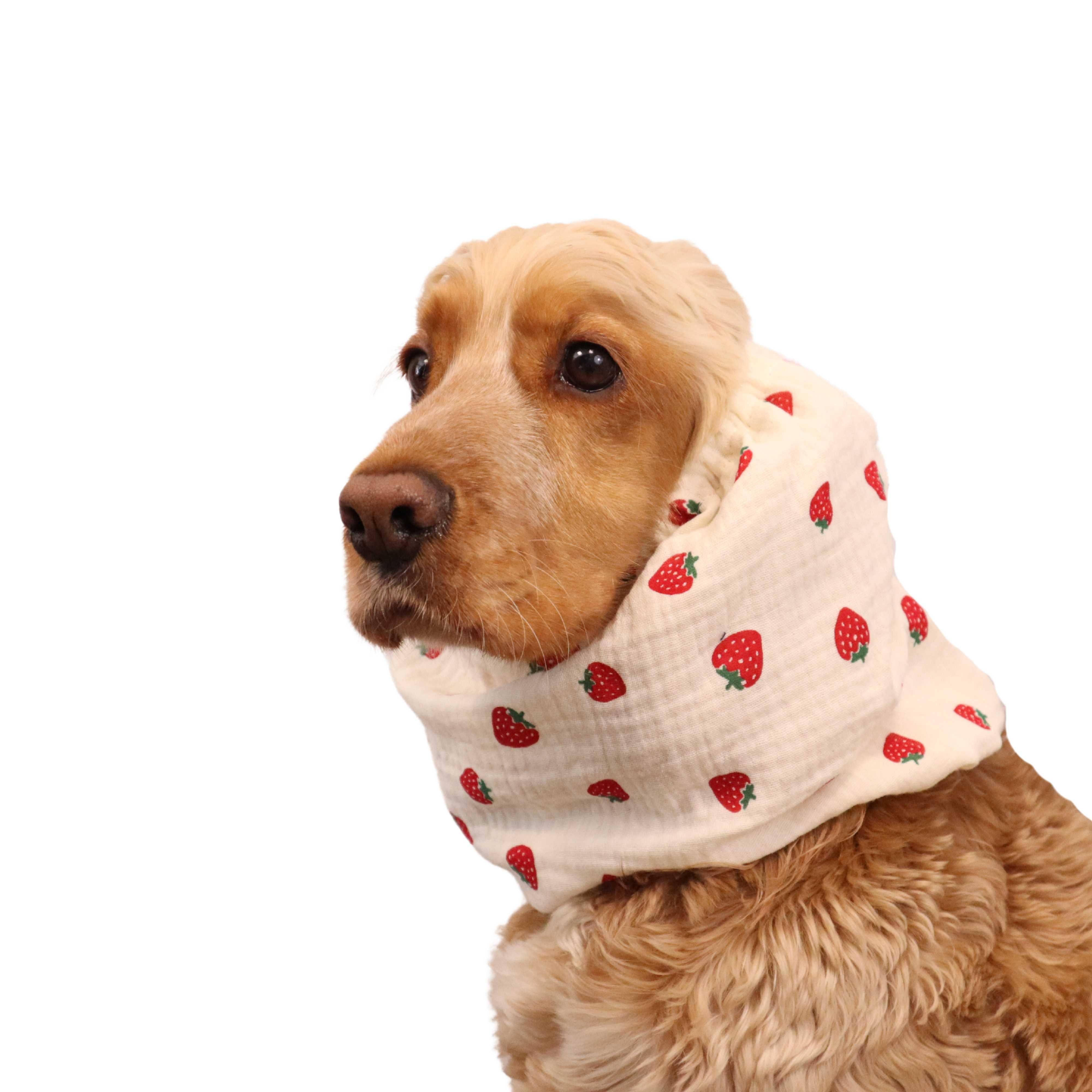 Distinguish Me – wholesale Halsduk - Hund – Lättvikts hundsnood i muslin med jordgubbar0