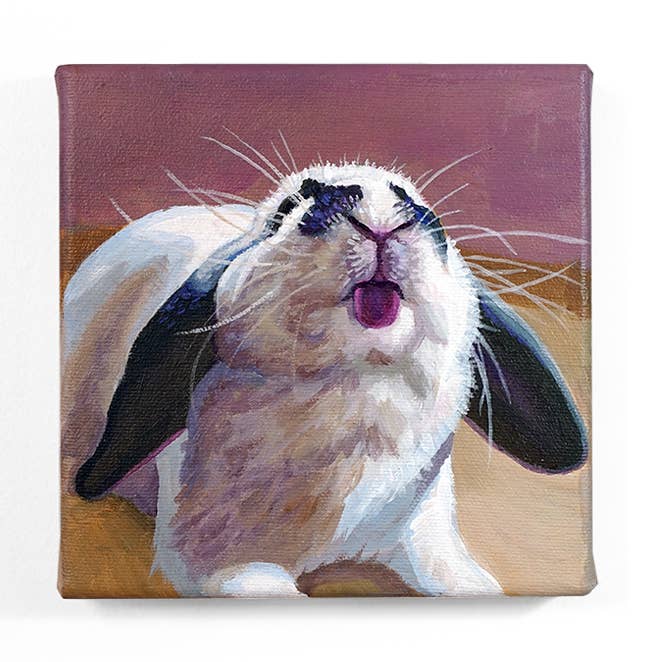 Blep Bunny Maleri for engroshandel hos Robin Good Art & Design