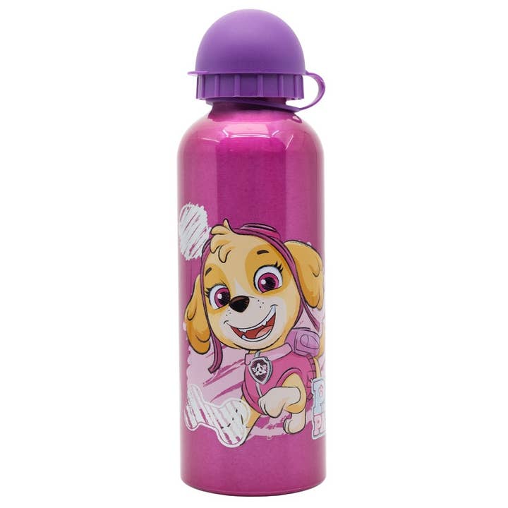 Evidence - Wholesale Water bottle - Paw Patrol Aluminum Water Bottle - 530 Ml