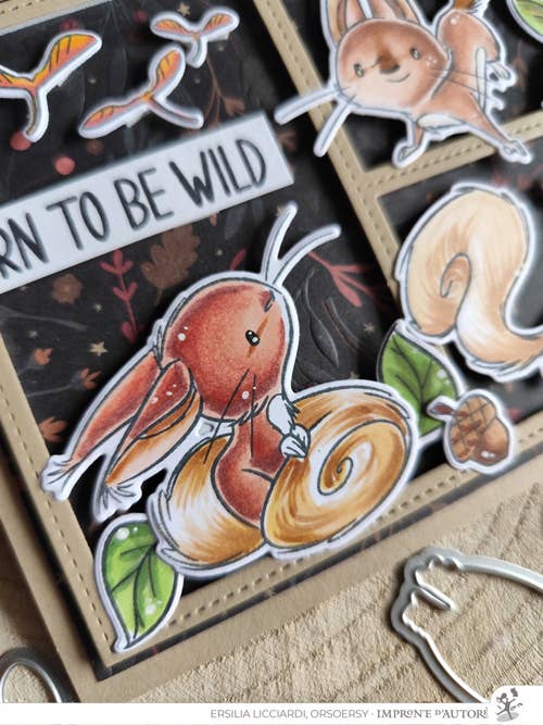 Impronte D'Autore - Wholesale Rubber/Decorative Stamp - Clear polymer stamps Nutty Explorers2