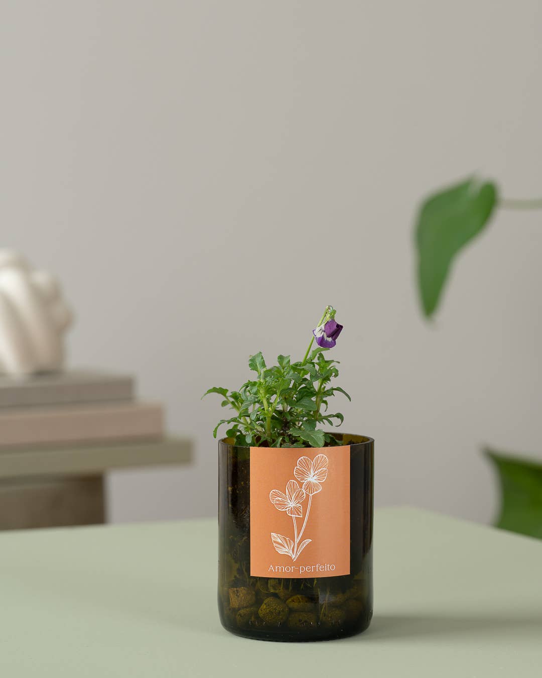 Life in a bag - Wholesale Plant Pot - Bottle Garden Pansy1