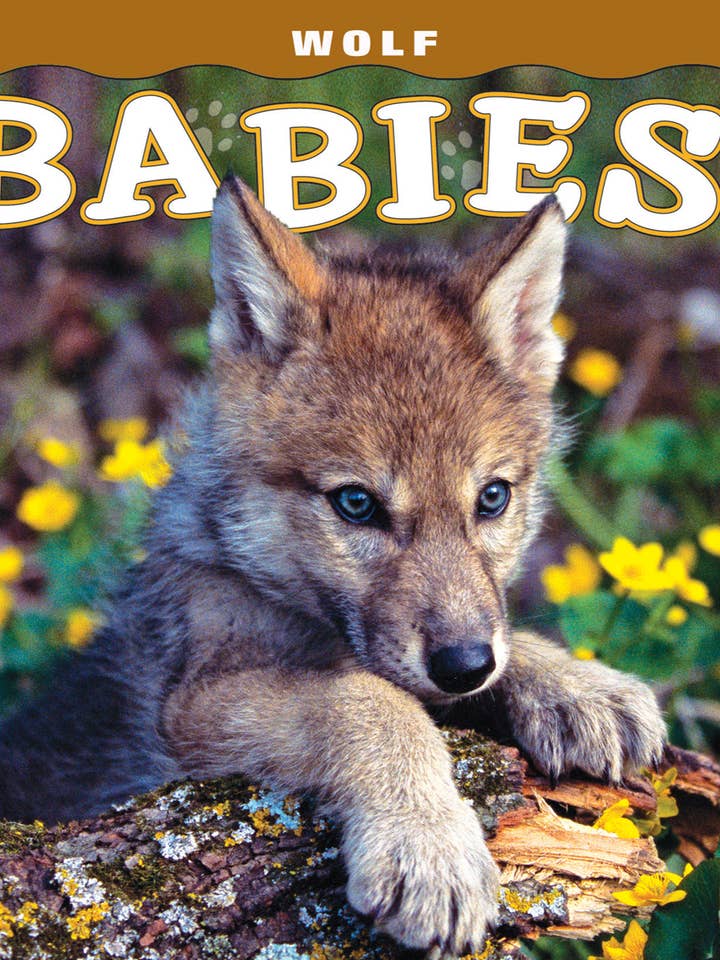 Wolf Babies for wholesale by Farcountry Press