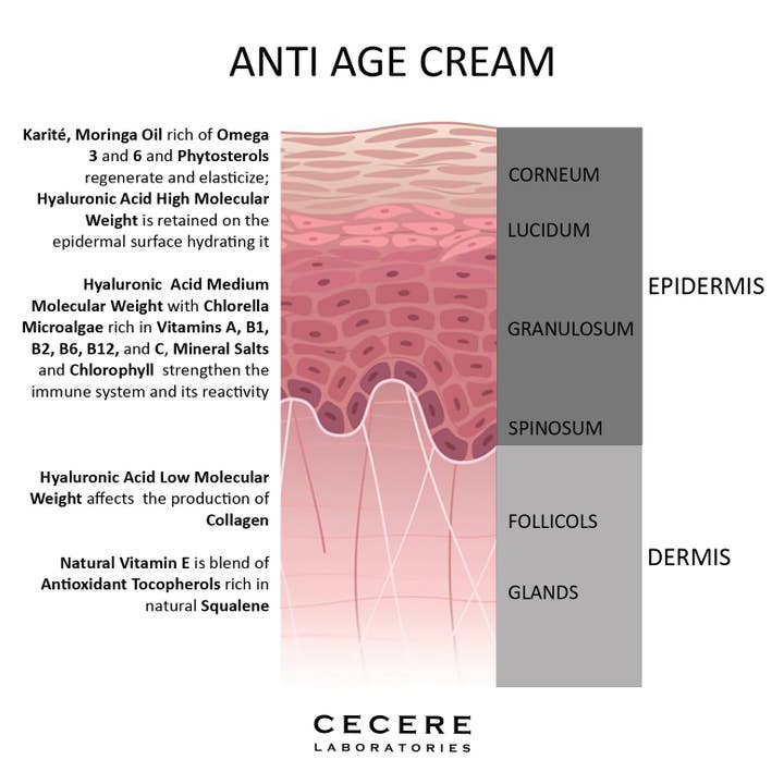 Cecere Monaco (Cecere Laboratories - Cecere Group)) - Wholesale Anti-aging moisturizer - Anti Age Cream 3 hyaluronzuur Moringa-olie Vitamine E3