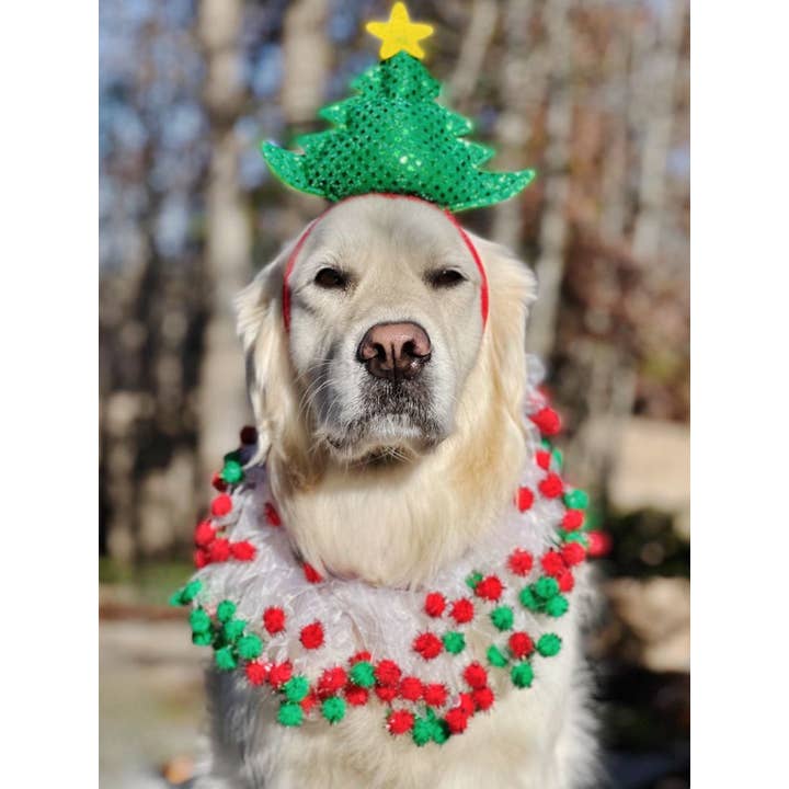 Midlee Designs – wholesale Pet costume – Dog – Midlee Christmas Tree Dog Headband6