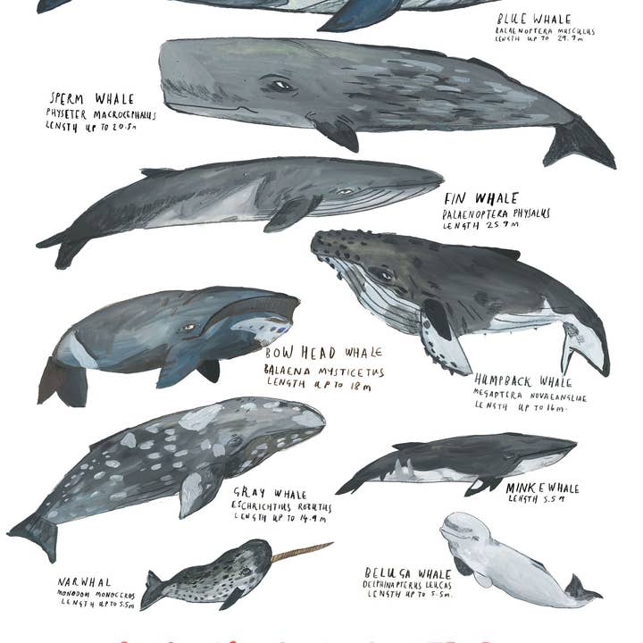 Affiche met voor wholesale door Dick Vincent Illustrations