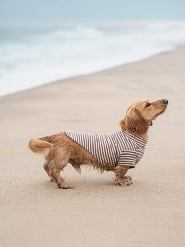 Eloise for wholesale by Lil.co