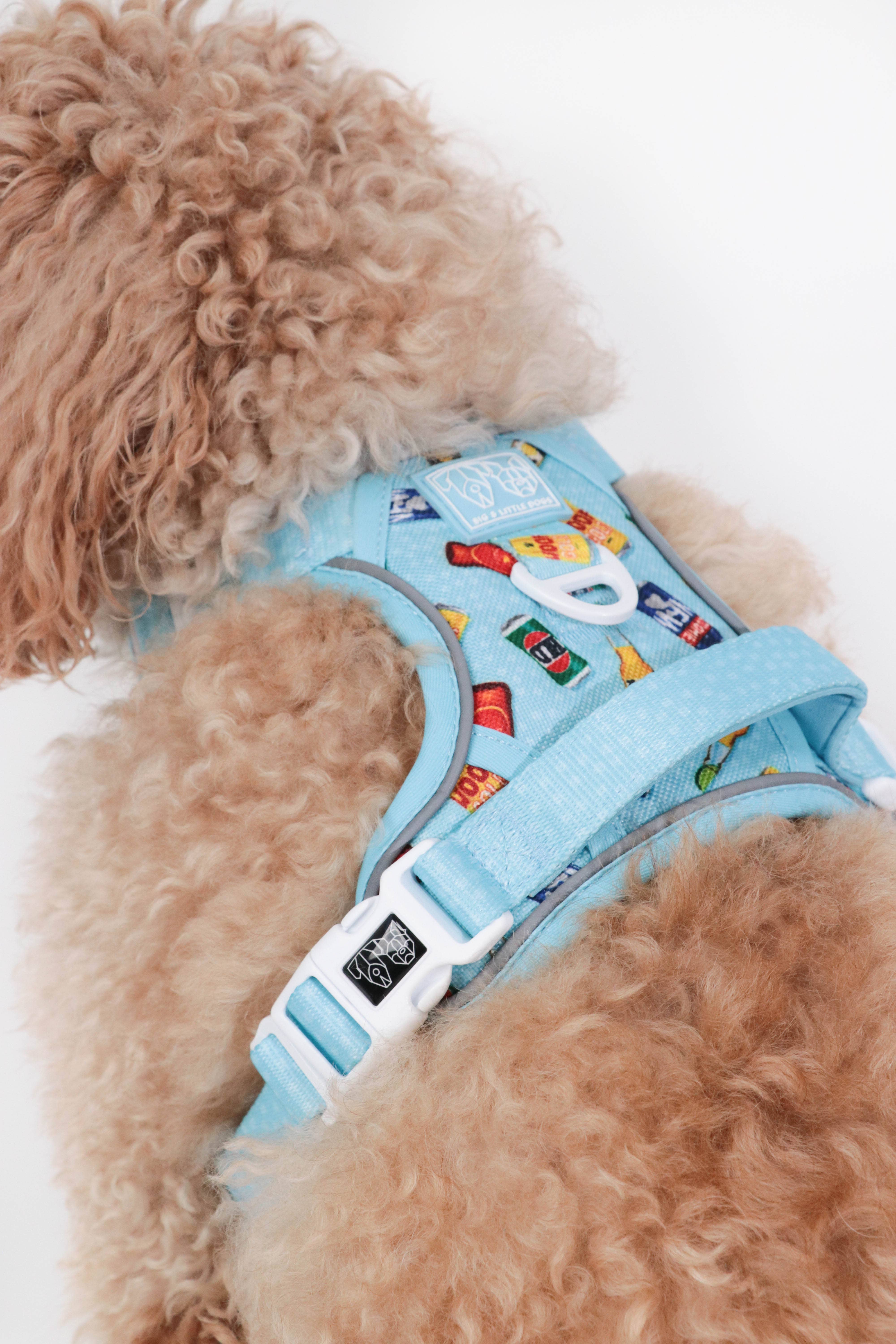 big and little dog harness