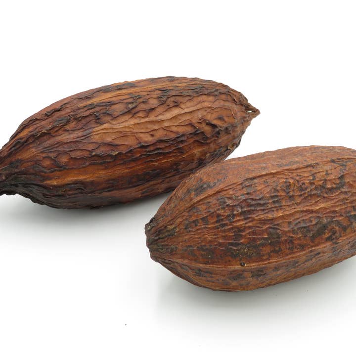 Grãos de cacau - 100% naturais e secos por atacado de Product Import Holland