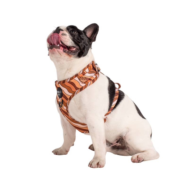 Pablo & Co. Boutique - Wholesale Pet harness – Dog - Espresso Swirls: Dog Adjustable Harness5