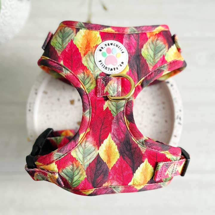 Harnais ajustable - Harvest festival pour la vente par My Pawchella