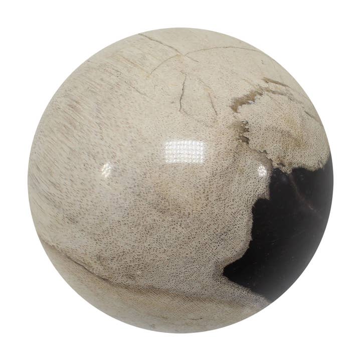 Quasar Gems USA - Venta al por mayor Piedras/cristales espirituales - Esferas grandes de madera petrificada (Indonesia)3