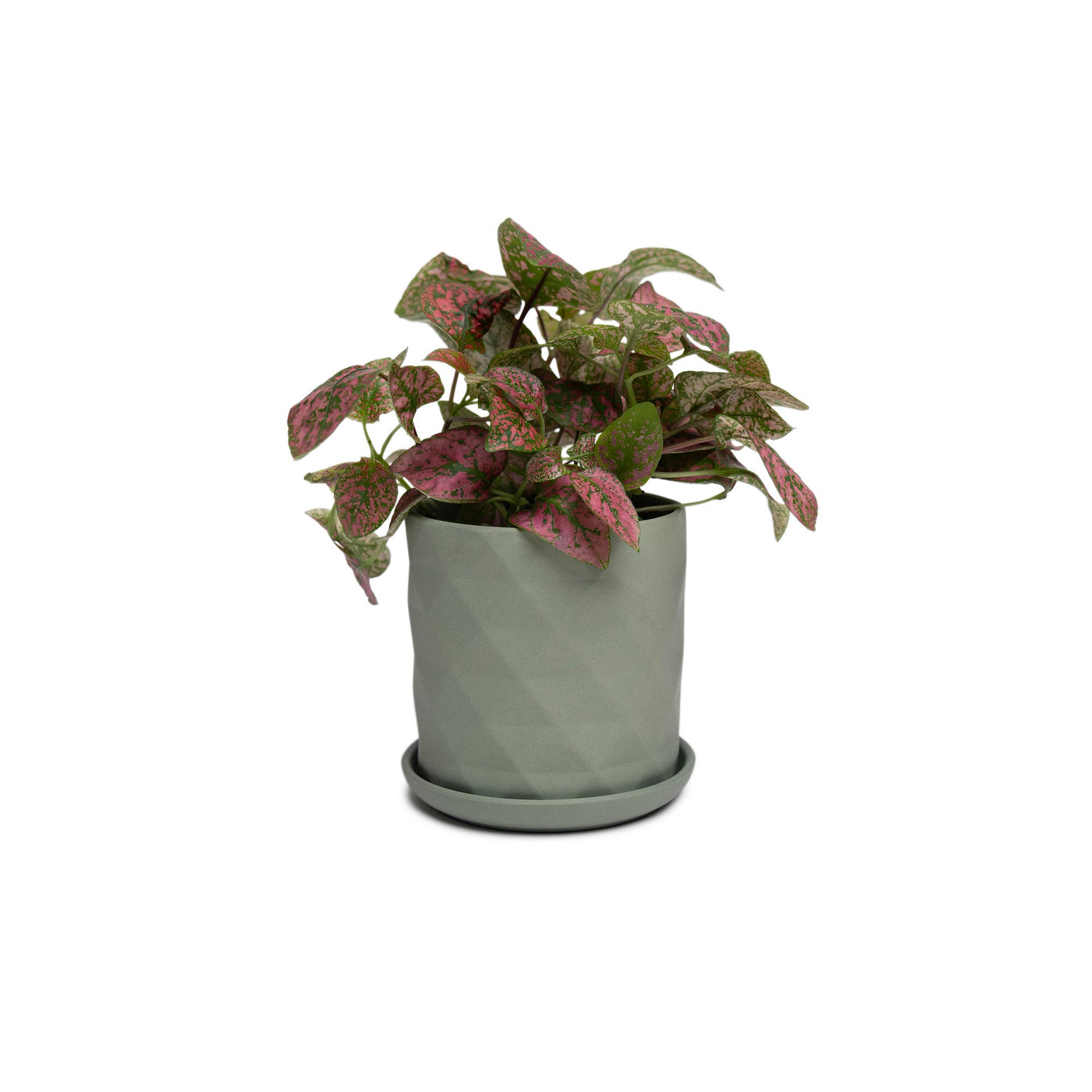 Chive - Wholesale Plant Pot - Handmade Ceramic Virago Pots | Artisan Plant Planters43