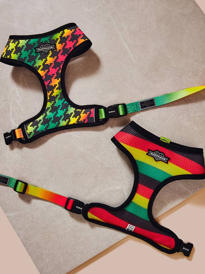 Bless Up Reversible Harness for wholesale by Ruffhaus NYC