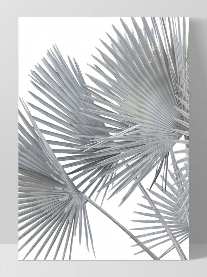 Fan Palm Fronds I. Leaf Wall Art. Scandi Minimalist Print for wholesale by PRINT AND PROPER