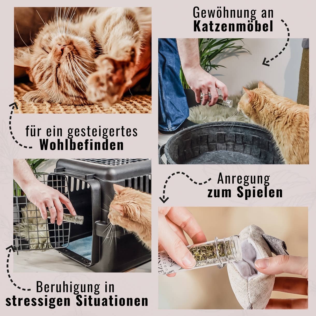 ne&no – wholesale Leksak - Katt – ne&no® Naturlig kattmynta - Set med 3 i elegant presentförpackning7