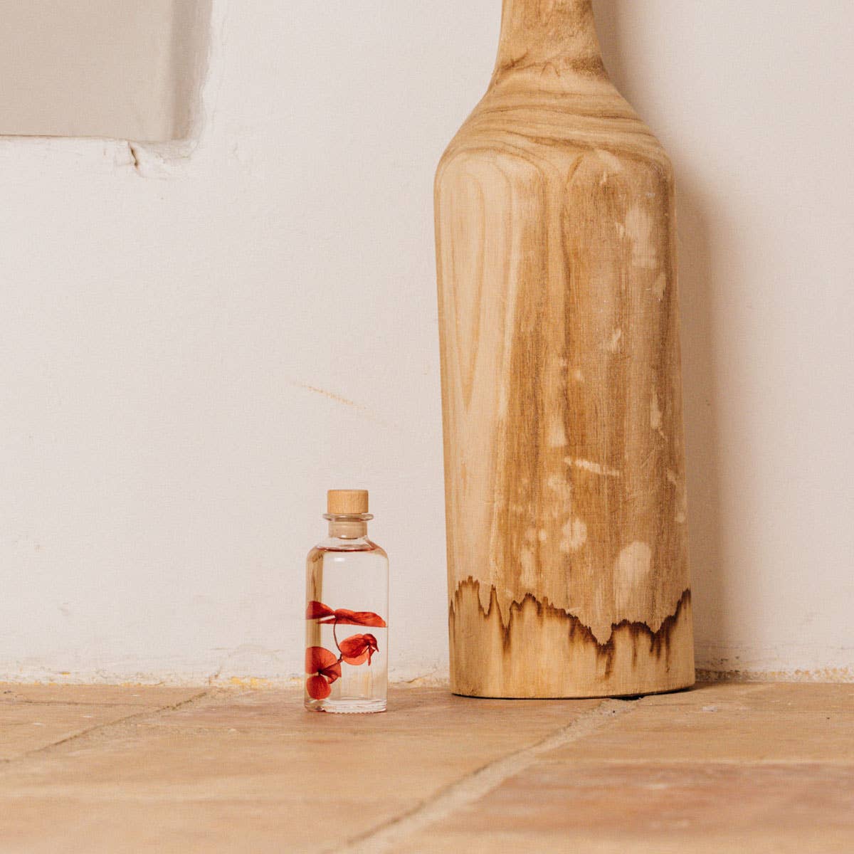 Theophile Berthon - Vente Plante - L'Herbarium Hortensia rouge Passion éternel6