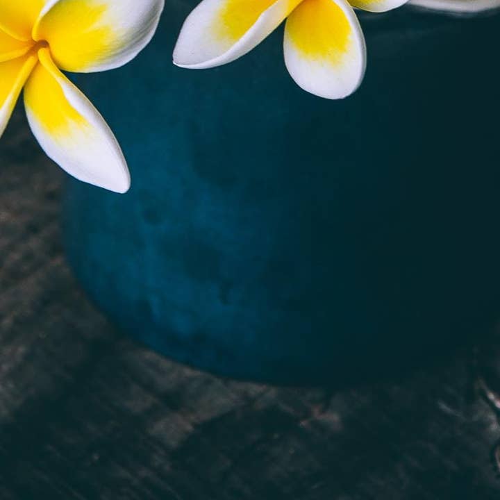 Forget Me Not oils Europe - Wholesale Geurolie - Geurige olie cederhout en jasmijn0