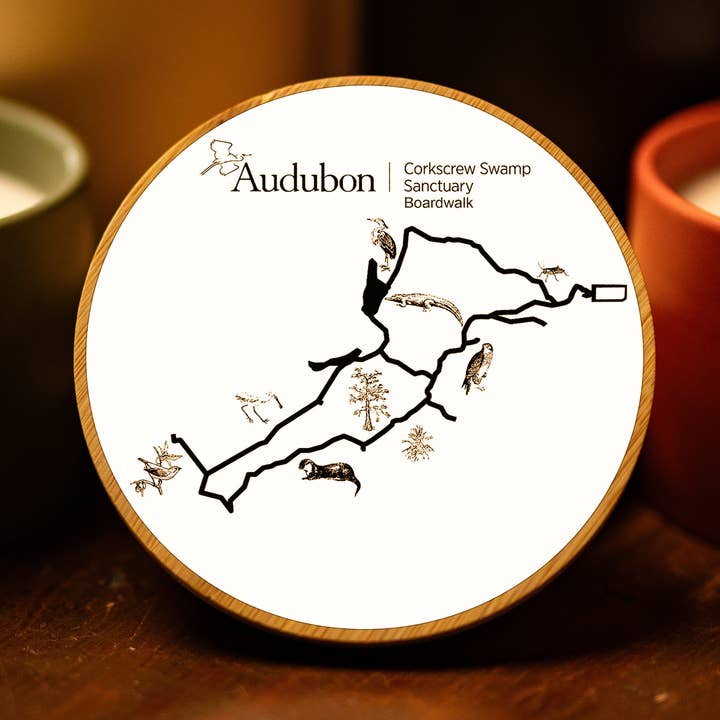 Audubon Corkscrew Swamp Sanctuary Boardwalk, FL Magnet Top Candle (Standard) for wholesale by Fire & Pine