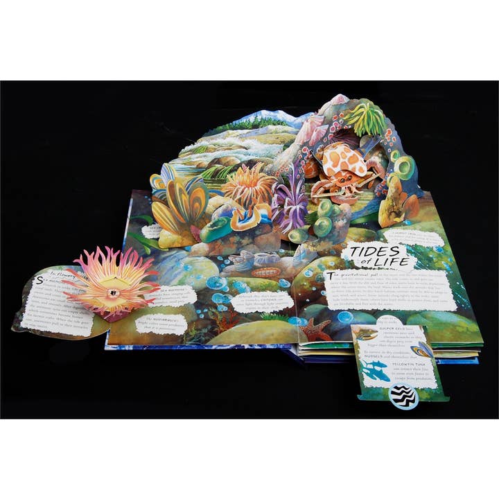 Simon & Schuster - Wholesale Book - Kids - Wild Oceans by Lucio Santoro