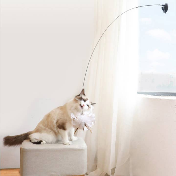 Leo's Paw - Wholesale Pet Toy Set - Cat - Interactive Bird Simulation Cat Toy Set