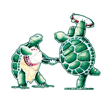 Gypsy Rose - Wholesale Sticker - Grateful Dead Jammin Turtles Terrapin Station Window Sticker