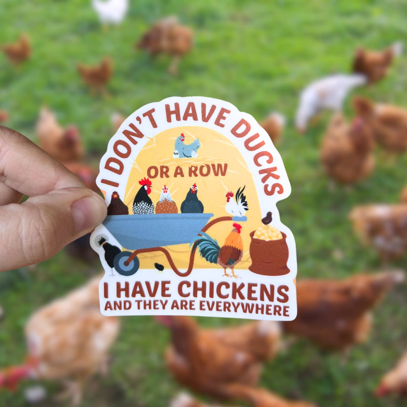 Little Traveling Llama - Wholesale Sticker - Chickens Everywhere Waterproof Vinyl Sticker