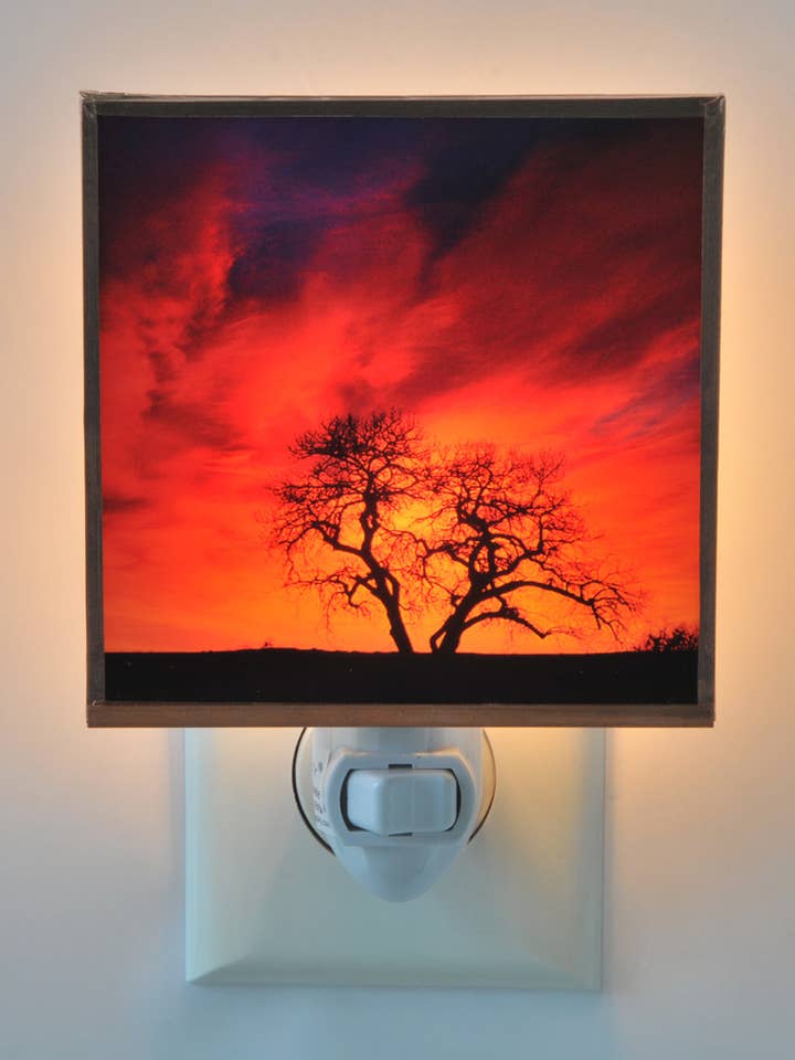 Natures Filter Sunrise for wholesale by Solarography