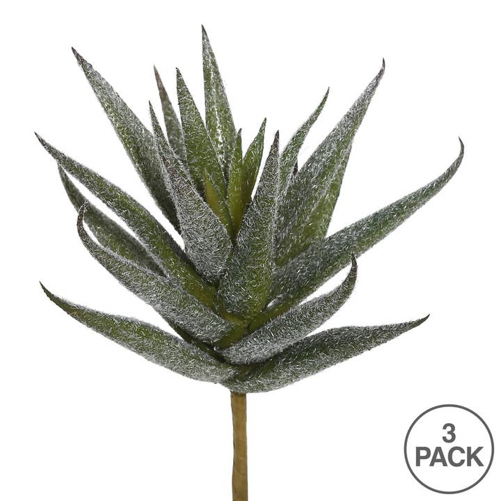 Green Red Vickerman 6.5" Aloe Vera Pick, 3 pack for wholesale on Faire2