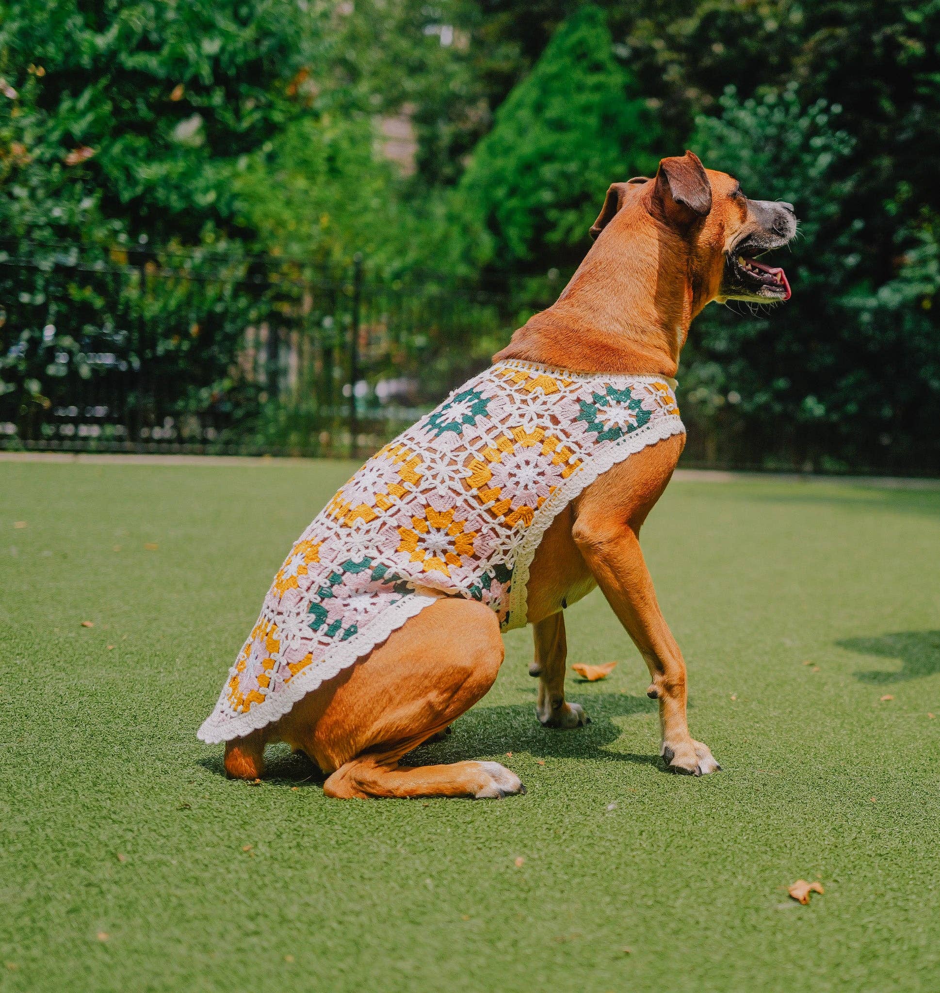 Both Tails - Wholesale Pet Shirt - Dog - Bubblegum Crochet Dog Top6