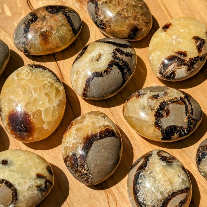 Septariska palmstenar - 1-6 KG Partier - UV-reaktiv för wholesale av Jensen Rocks