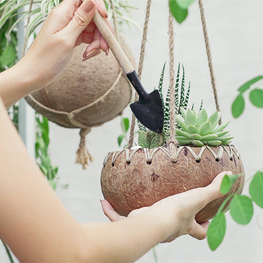 Rainforest Bowls - Wholesale Hanging Planter - Hanging Fiber Coconut Planter7
