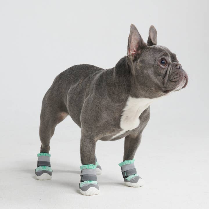 Spark Paws - Wholesale Pet Boots - Dog - Hot Pavement Pawtector Dog Shoes - Teal