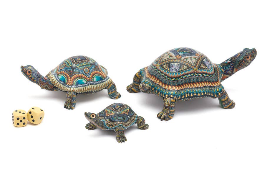Jon Stuart Anderson Turtles for wholesale by Jon Stuart Anderson Artworks