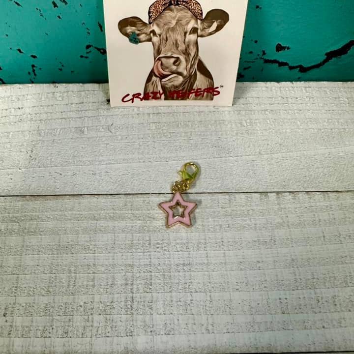 Crazy Heifers Wholesale - Wholesale Individual Charm/Pendant - Clip-on Charms Gold Tone V426