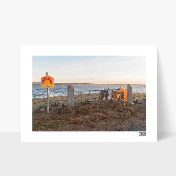 What View | County Clare | Irland für den Großhandel von SIAR Photography