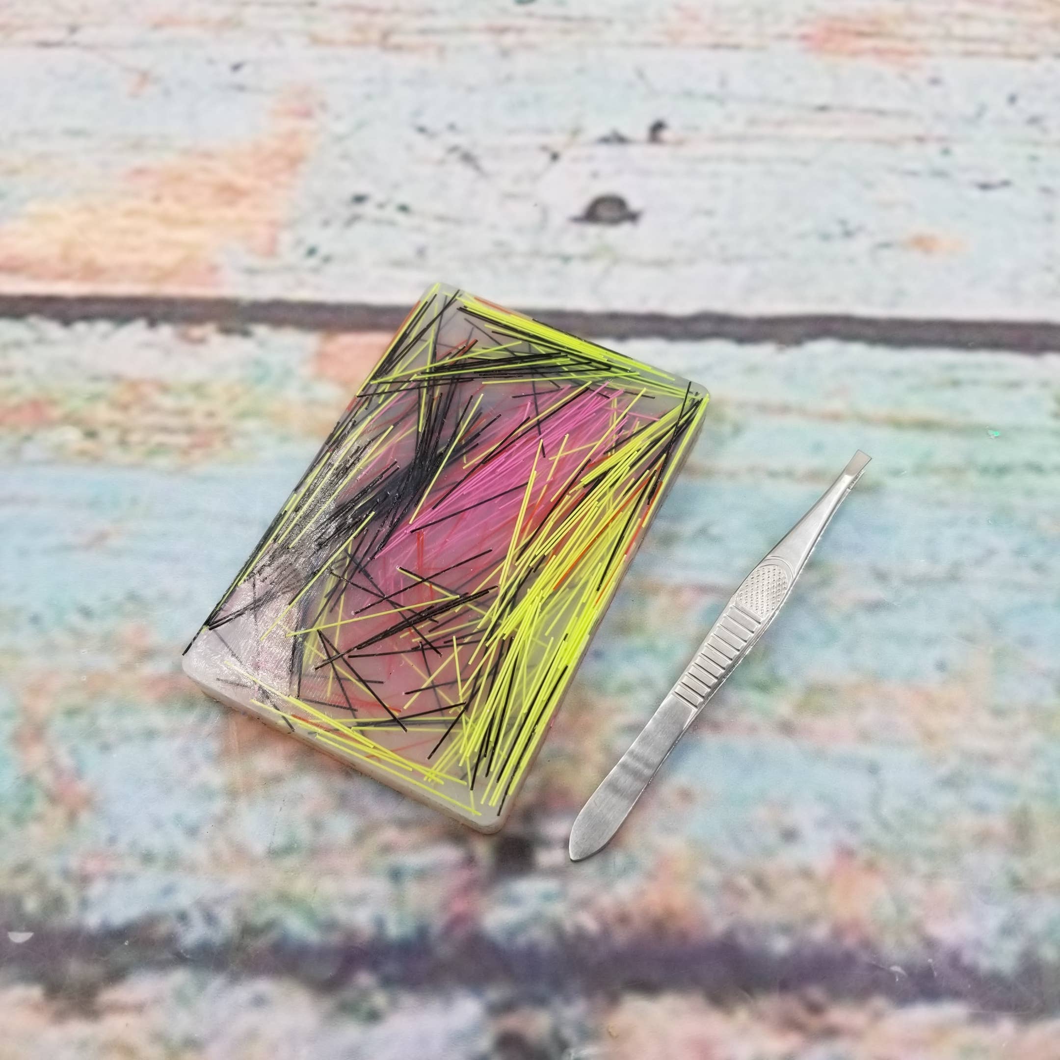 MIAS SHOP - Wholesale Fidget Toy - Kids - Sensory Stress Picky Pads Treasure Hunt Fidget Toys2