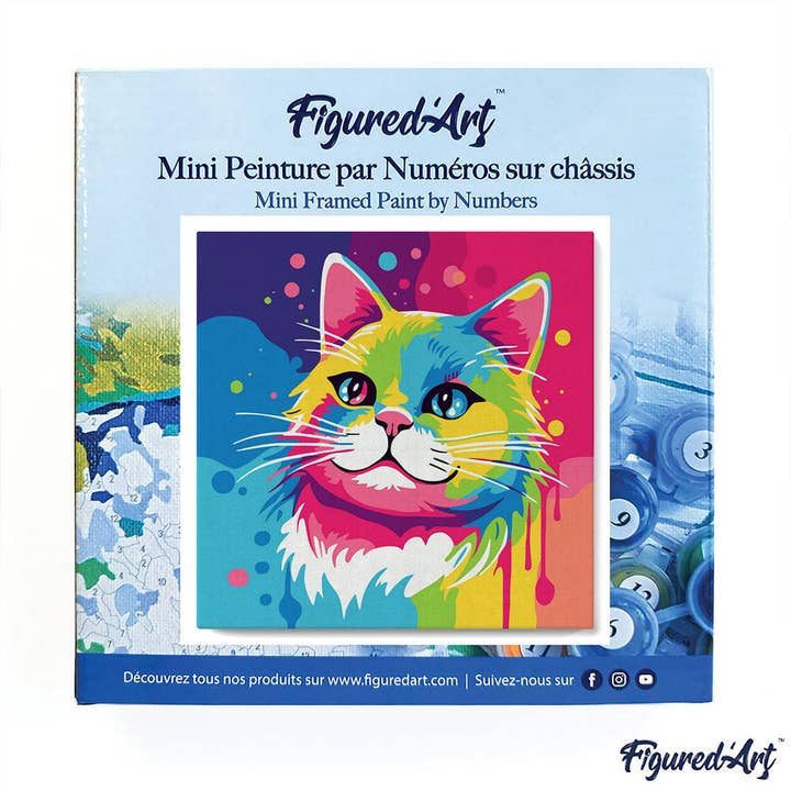 Figured'Art - Wholesale Paint set - Mini Paint by numbers Cat Abstract Pop Art already framed2
