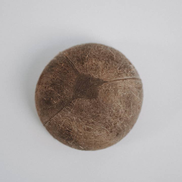 JustBowls - Venta al por mayor Tazón - JustBowl Natural3