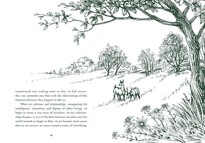 Insight Editions - #1 Pop Culture Publisher - Wholesale Nature & Outdoors Book - Healing Trees2