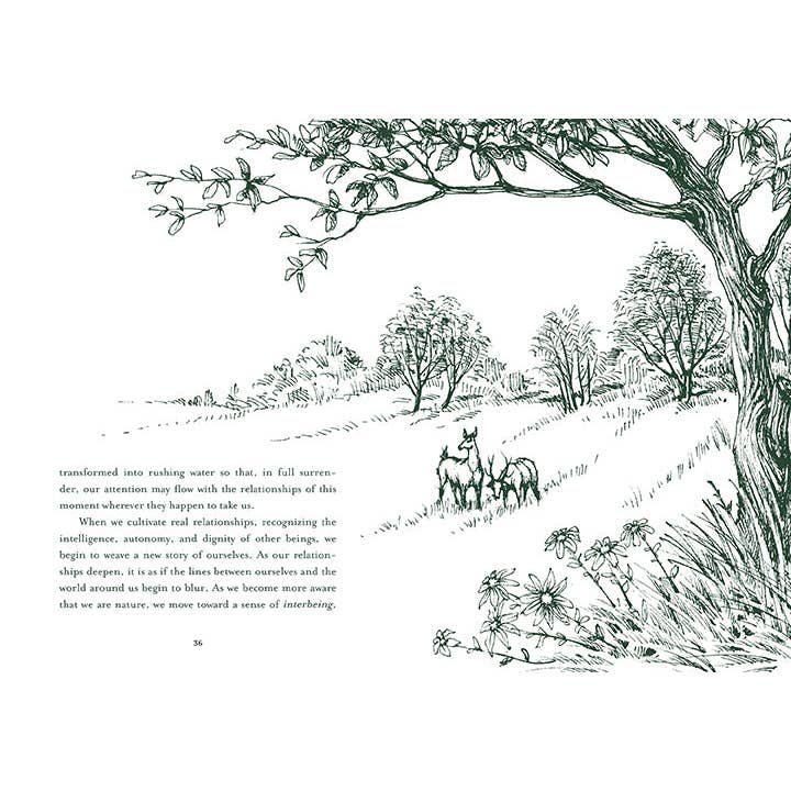 Insight Editions - #1 Pop Culture Publisher - Wholesale Nature & Outdoors Book - Healing Trees2