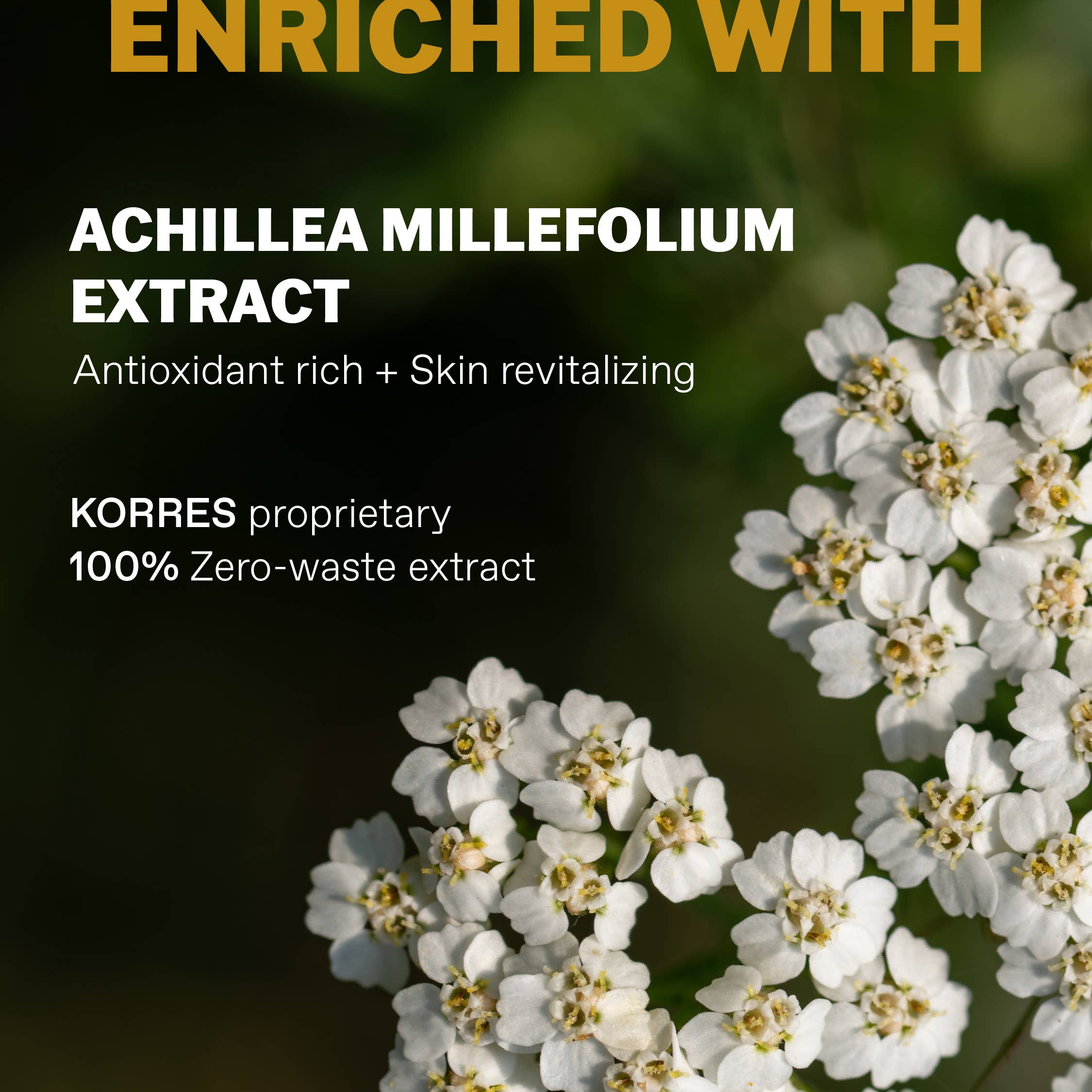 KORRES USA LTD - Wholesale Cologne Spray - Eau de Cologne Bergamot + Leather for Men2