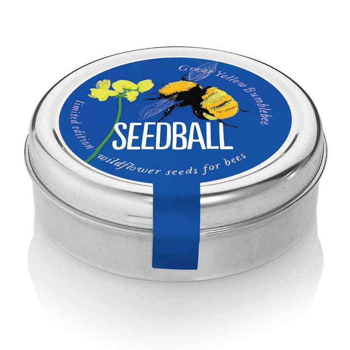 Seedball – wholesale Plant seeds – Bumblebee Seedball Wildflower Tins