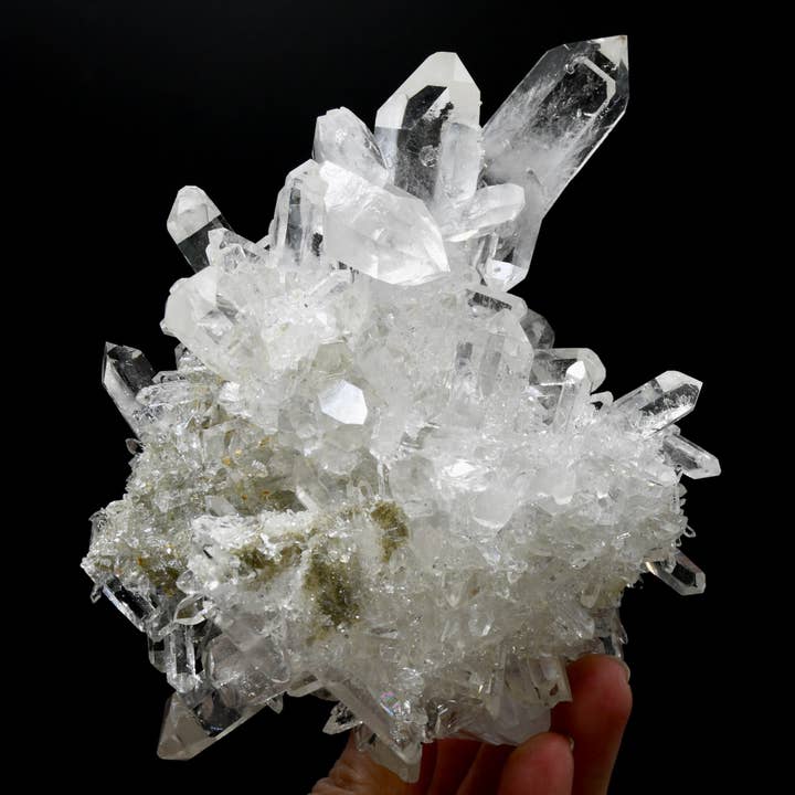 Caspar Curiosities - Wholesale Spiritual Stone/Crystal - 5.9in 1.3lb Cosmic Starburst Record Keeper Lemurian Silver Quartz Chlorite Crystal Cluster Starbrary Optical Corinto, Brazil3