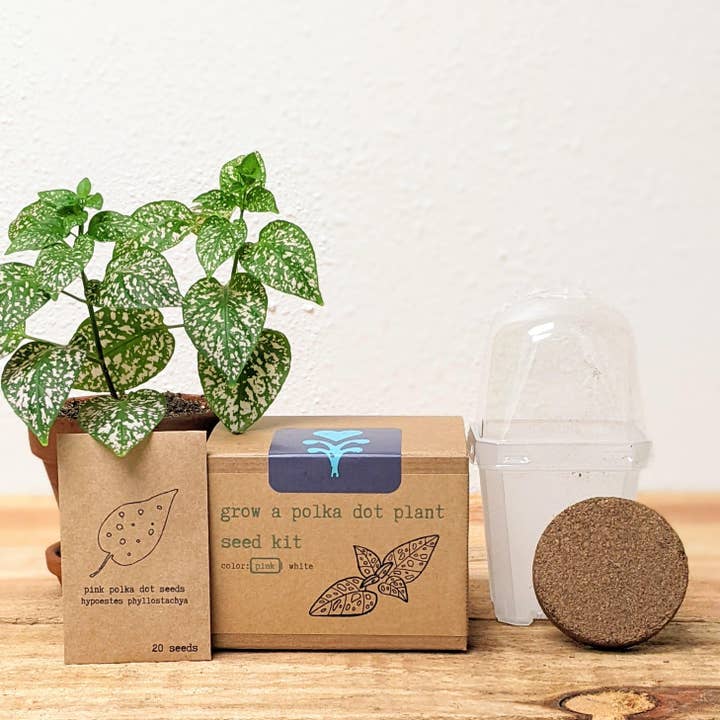 Plantflix - Wholesale Plant Seeds - Houseplant Seed Kit 19