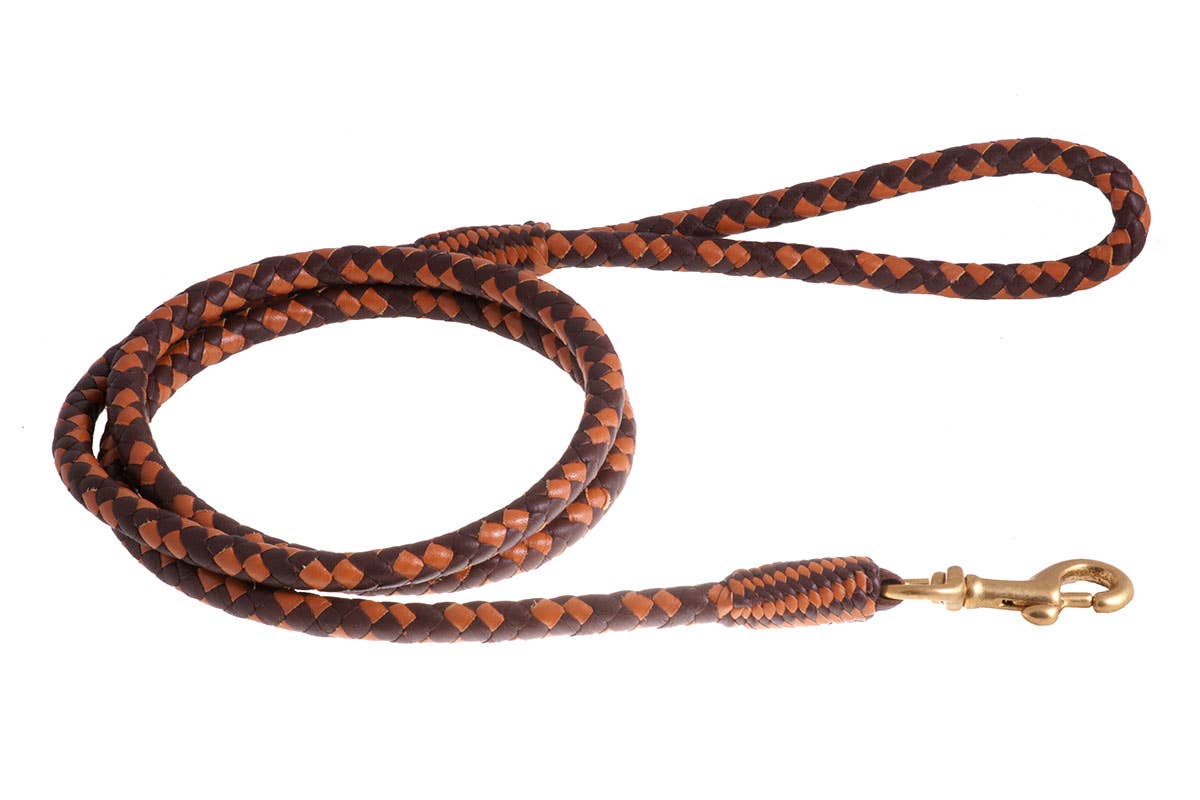 Alvalley - Wholesale Pet Leash - Dog - Braided Leather Snap Leads88